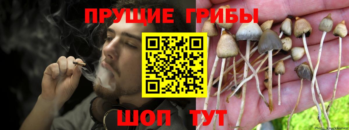 Псилоцибиновые грибы MAGIC MUSHROOMS  Вход с VPN  Лангепас 